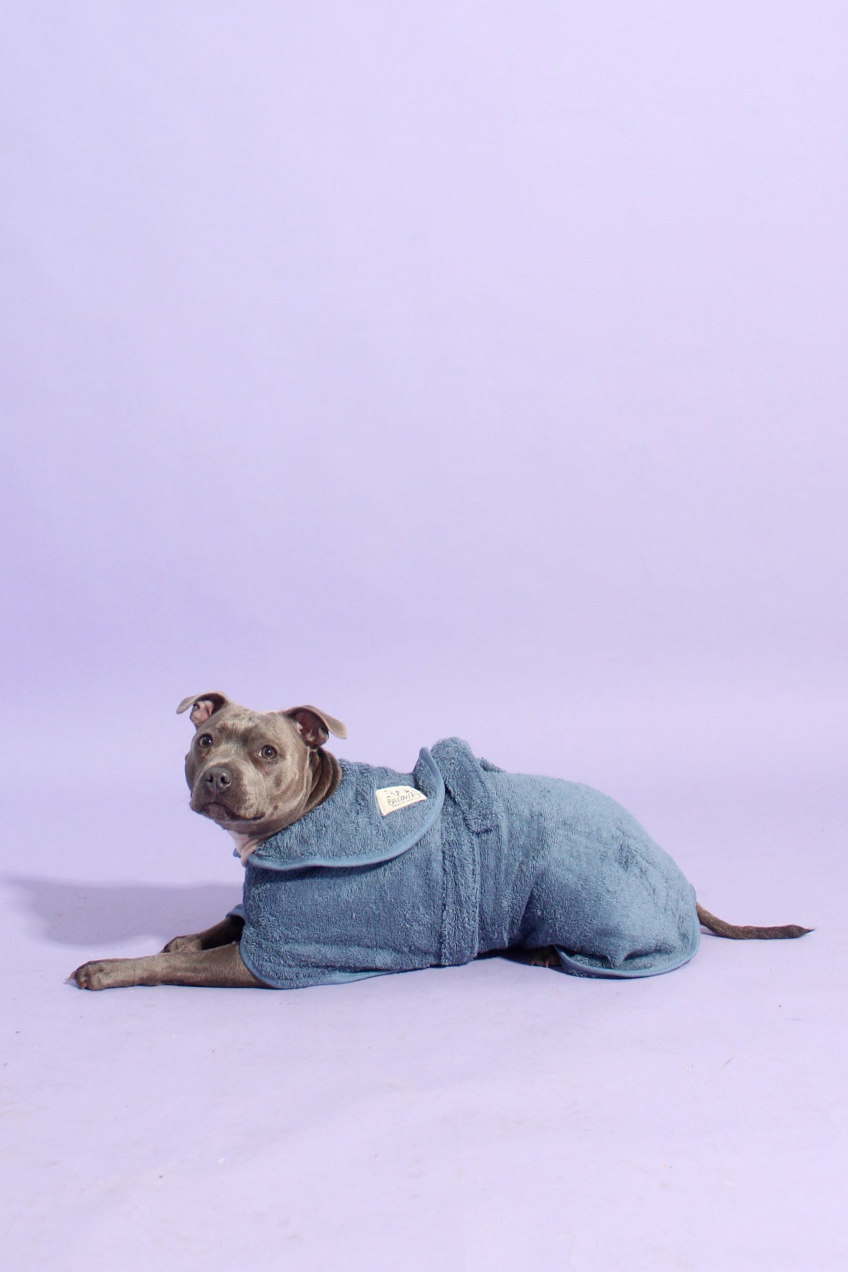 Dog Drying Robe