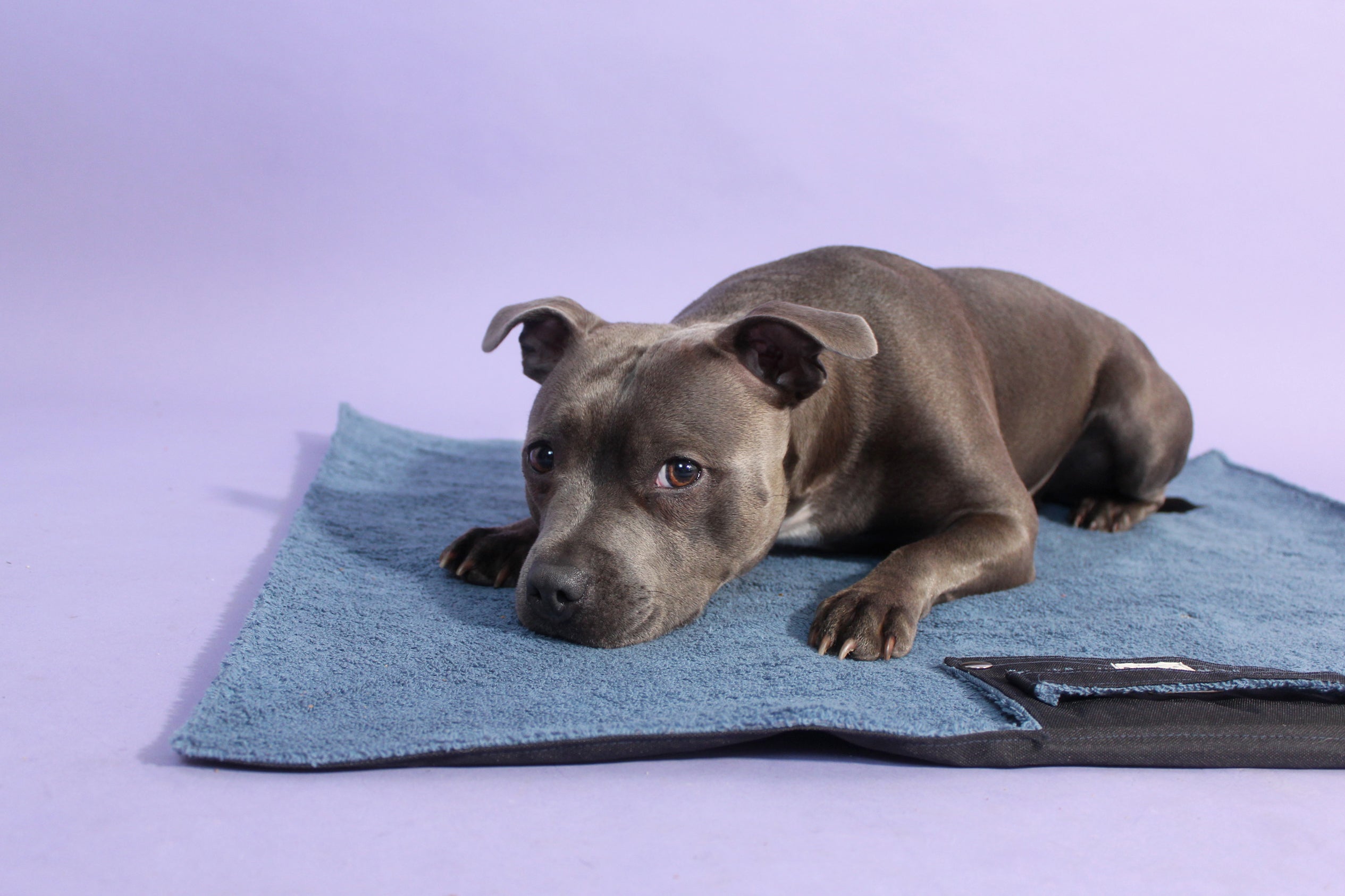 Waterproof Roll-up Travel Towel