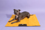 Waterproof Roll-up Travel Towel