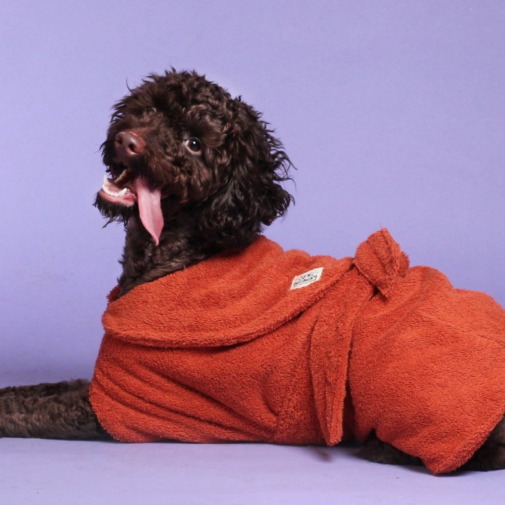 Dog Drying Coat - Rust