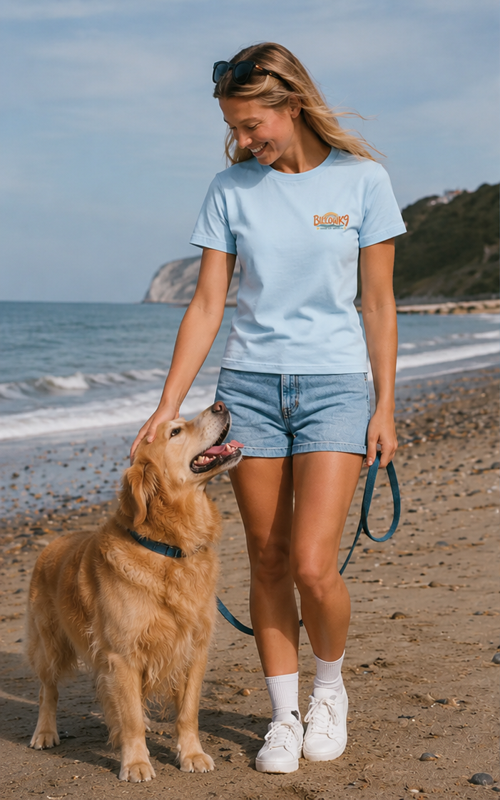 Retro Baby Tee