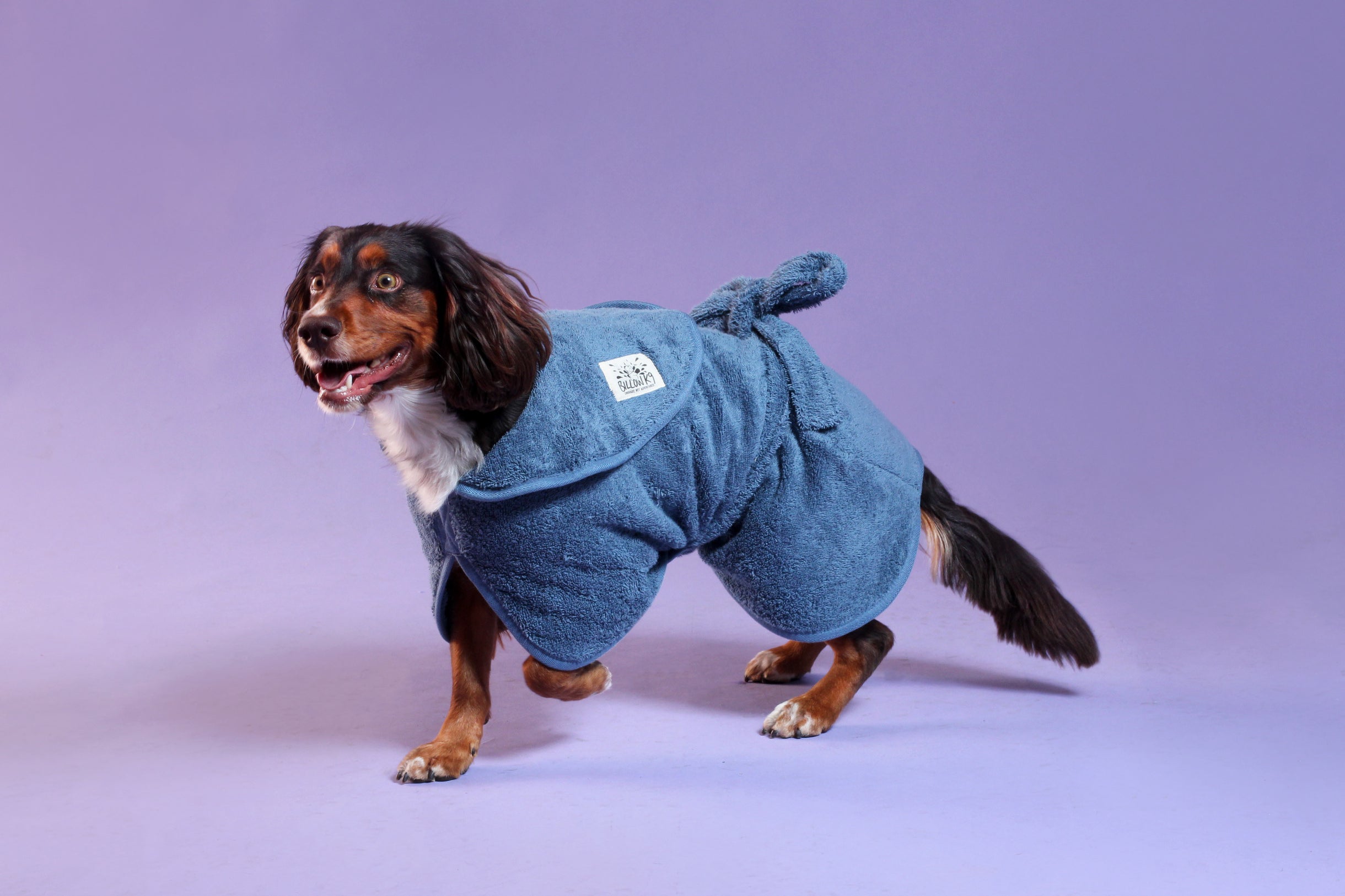Dog Drying Coat - Blue