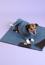 Waterproof Dog Settle Mats - Blue