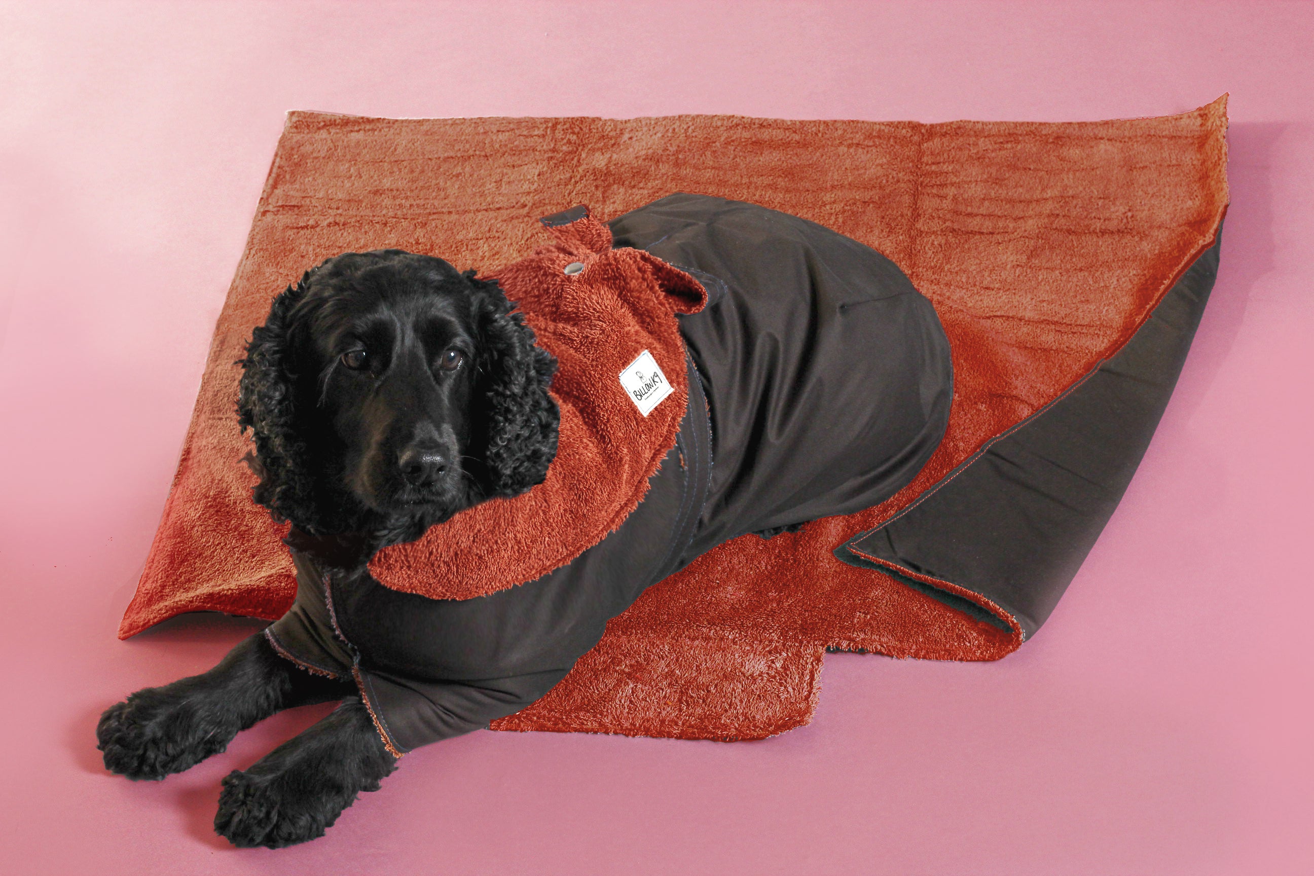 Waterproof Dog Settle Mats - Rust