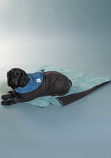 Waterproof Dog Settle Mats - Blue