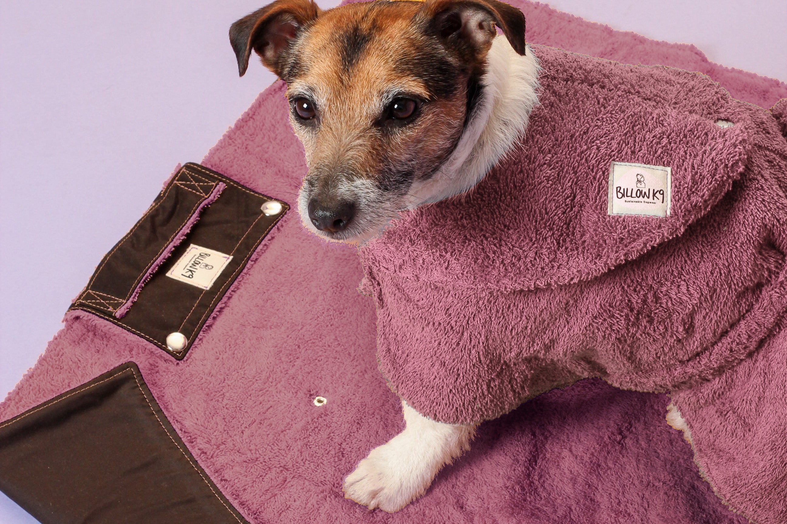 Waterproof Dog Settle Mats - Mint