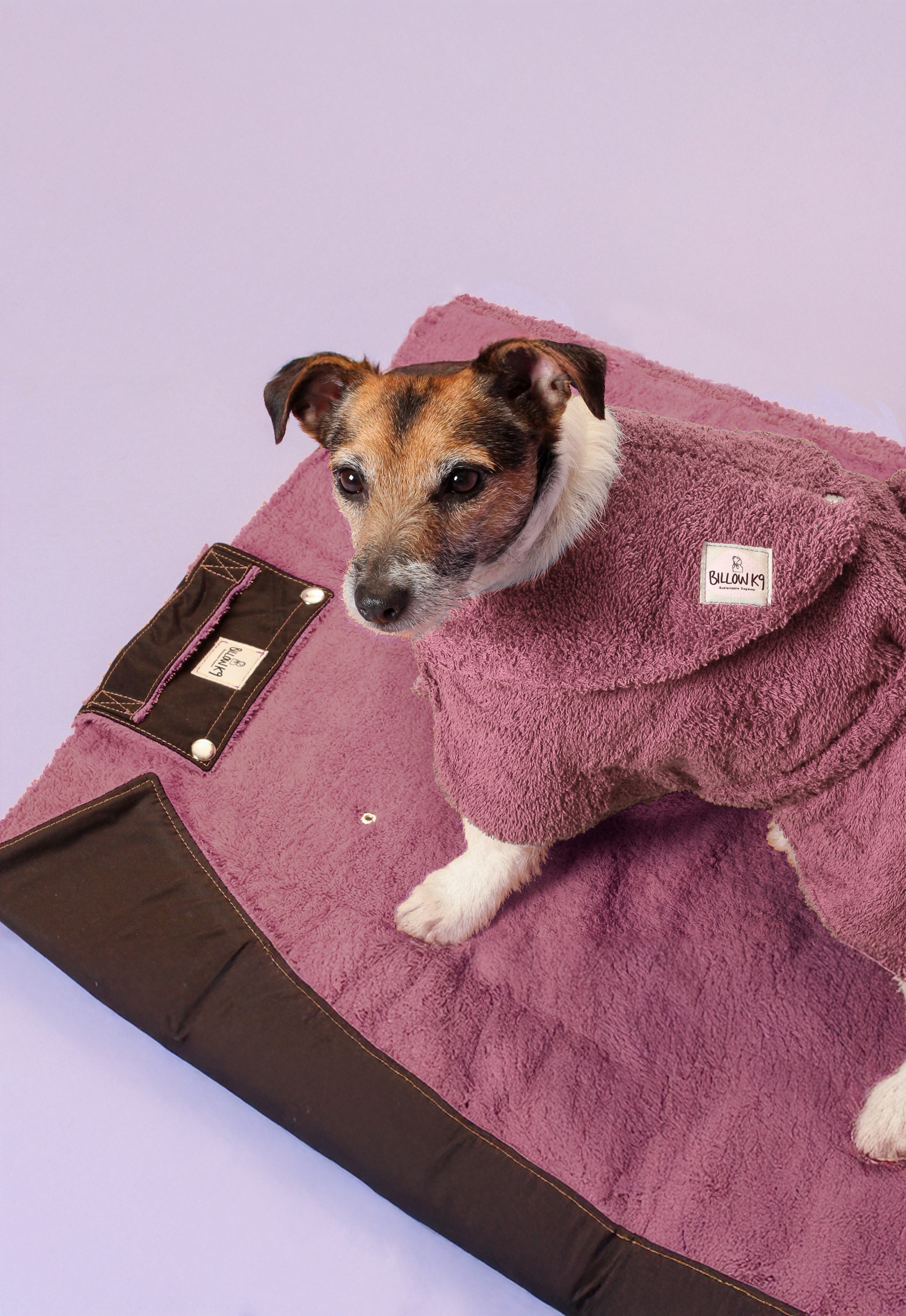 Waterproof Dog Settle Mats - Blue