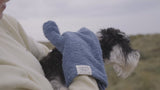 Dog Quick Drying Mitts 