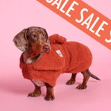 Drying Coat - Dachshund
