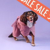 Dog Drying Robe