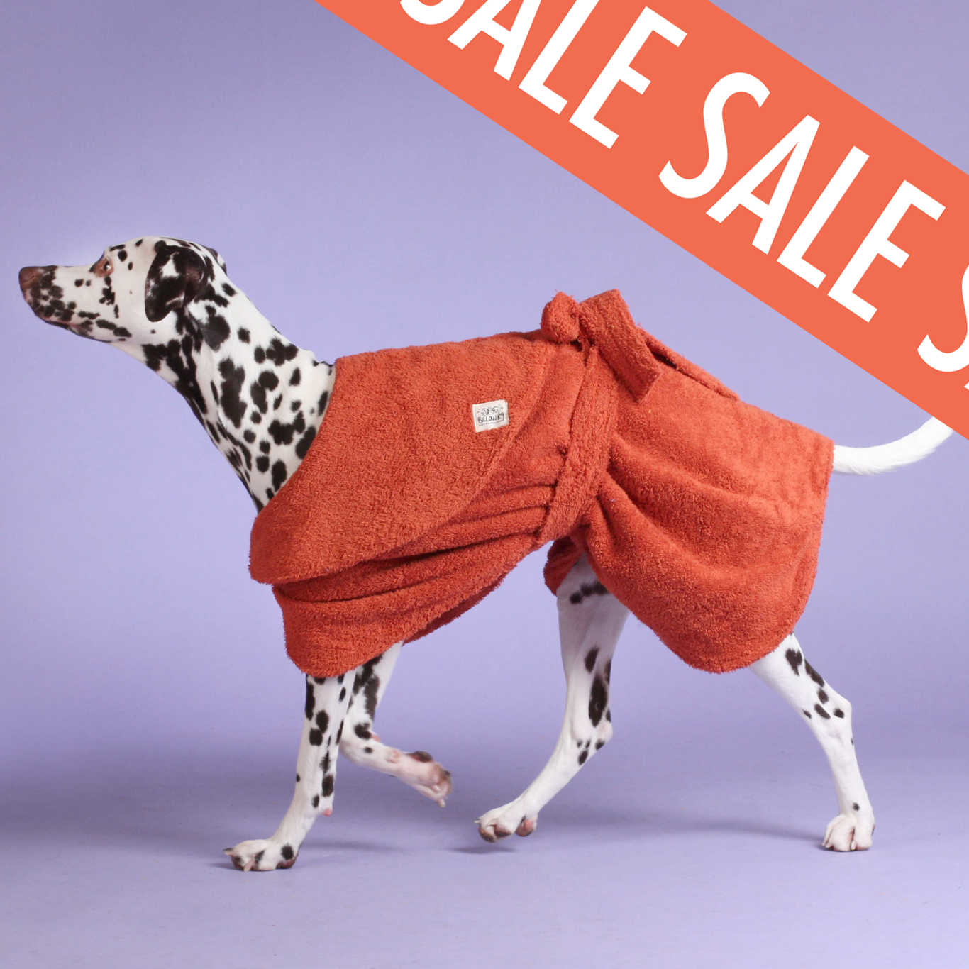 Dog Drying Robe