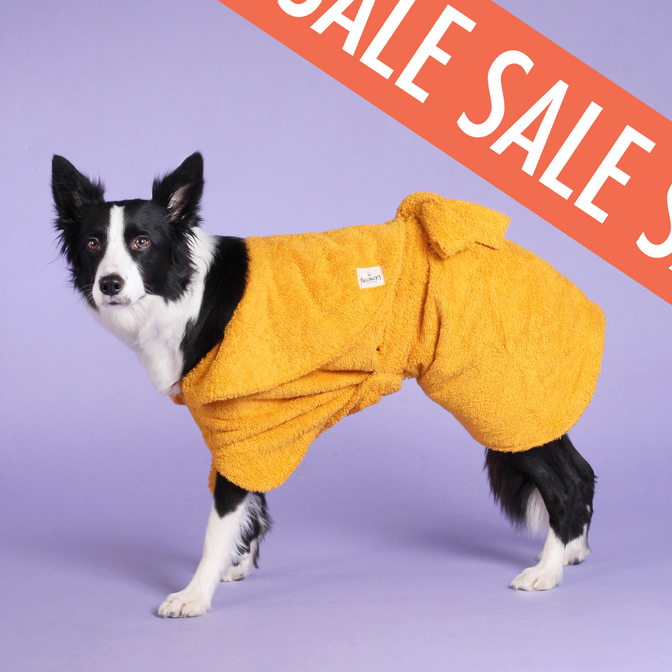 Dog Drying Coat
